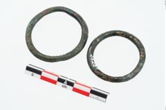 Foto von Bronzering (NHMW-PRAE-026289)